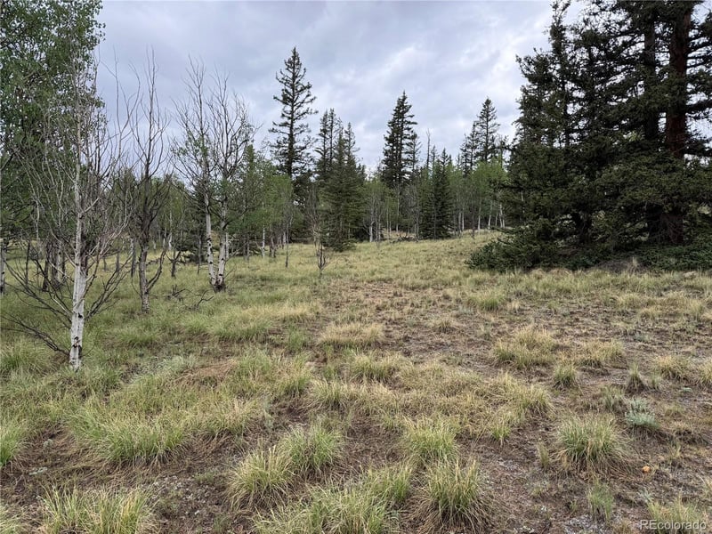383 Spearpoint Rd, Como, CO 80456