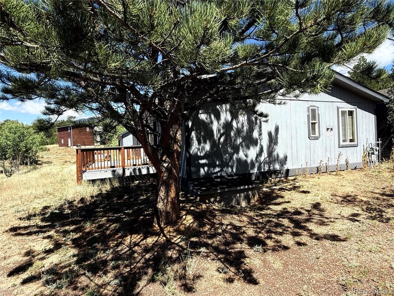 364 Stage Coach Dr, Bailey, CO 80421