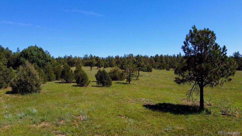21270 Spirit Mountain Dr, Aguilar, CO 81020