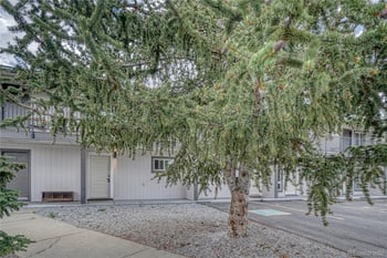 921 Mt Massive Dr #16, Leadville, CO 80461