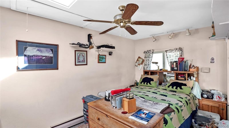 224 Brook Rd, Evergreen, CO 80439