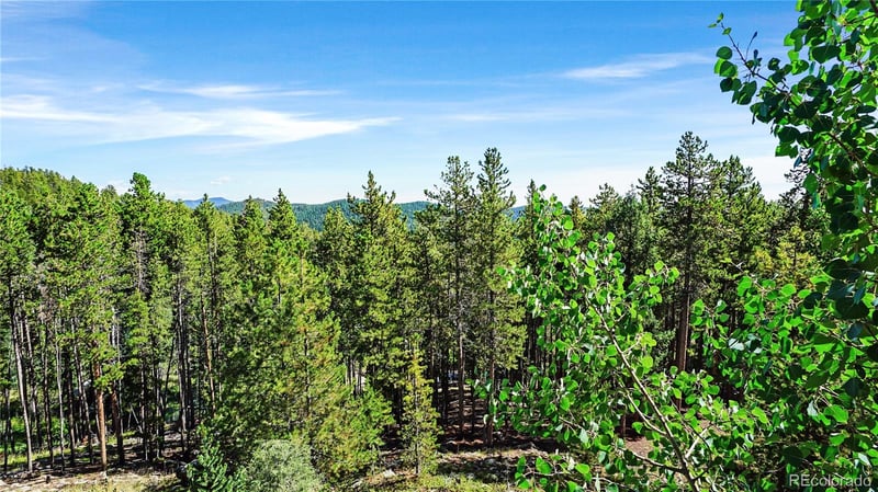 224 Brook Rd, Evergreen, CO 80439