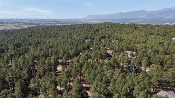 15831 Longmeadow Ln, Colorado Springs, CO 80921
