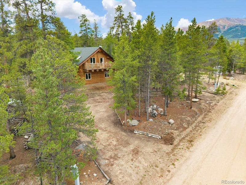 682 Spruce Dr, Leadville, CO 80461