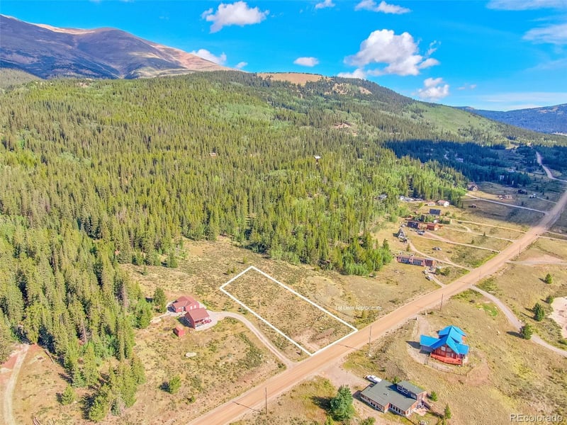 936 Co Rd 6, Alma, CO 80420
