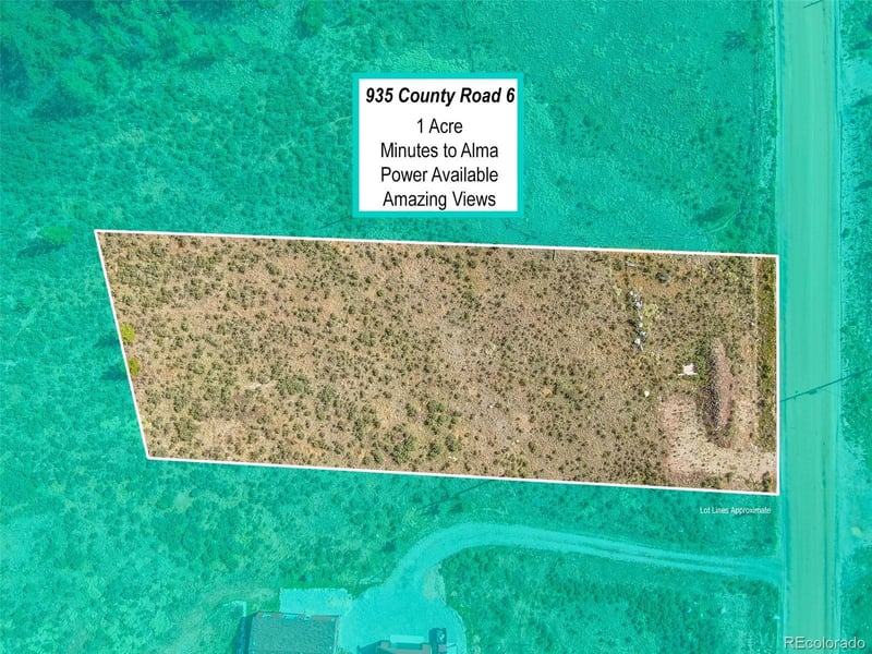 936 Co Rd 6, Alma, CO 80420
