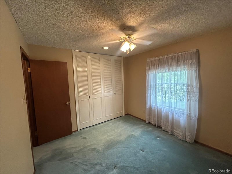 12924 St Paul Ct, Thornton, CO 80241