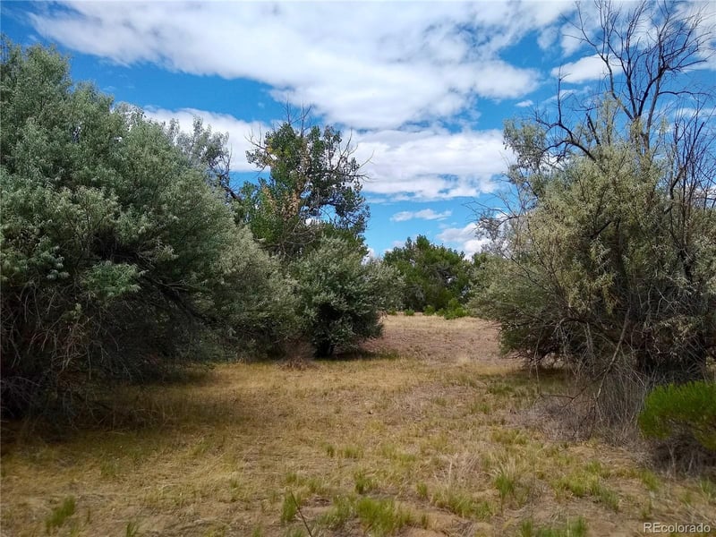 Lonesome Whistle Rd Lot 13, Rye, CO 81069