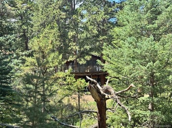 1324 Pine Glade Rd, Nederland, CO 80466