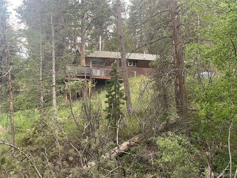 1324 Pine Glade Rd, Nederland, CO 80466