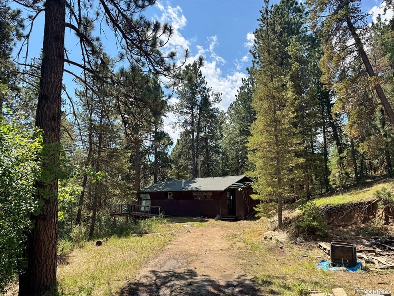 1324 Pine Glade Rd, Nederland, CO 80466