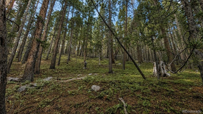 000 Steuart Rd Lot 375, Idaho Springs, CO 80452