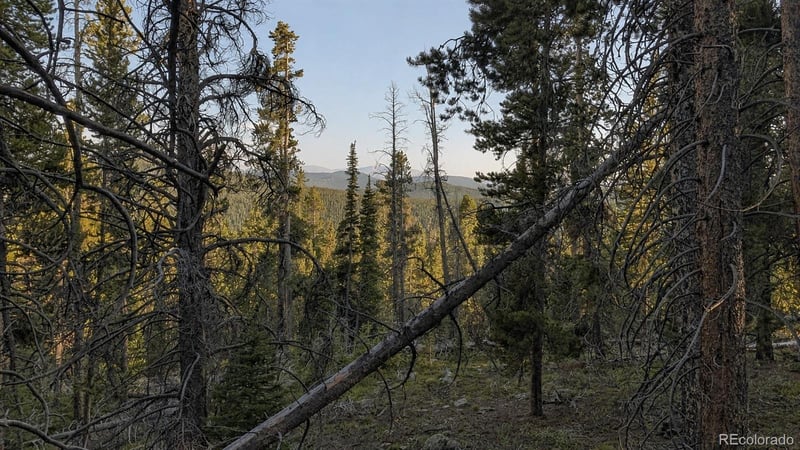 000 Steuart Rd Lot 375, Idaho Springs, CO 80452