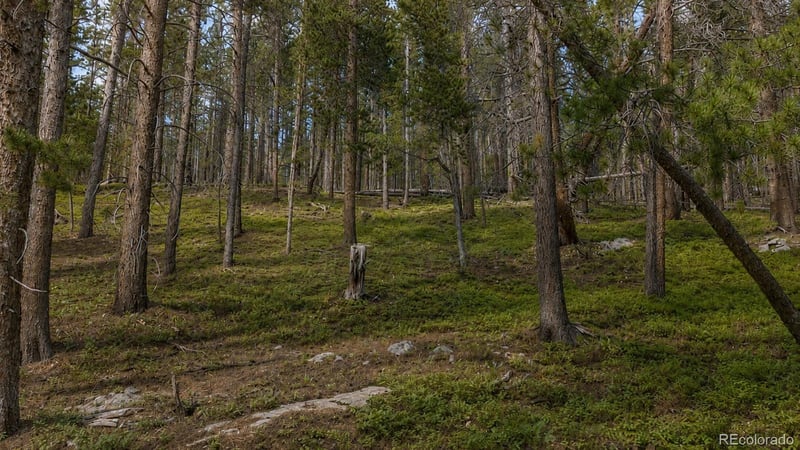 000 Steuart Rd Lot 375, Idaho Springs, CO 80452