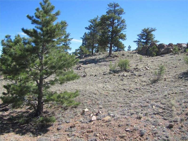Lot 5085 Ouray Rd, Hartsel, CO 80449