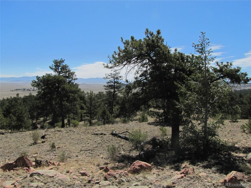 Lot 5085 Ouray Rd, Hartsel, CO 80449