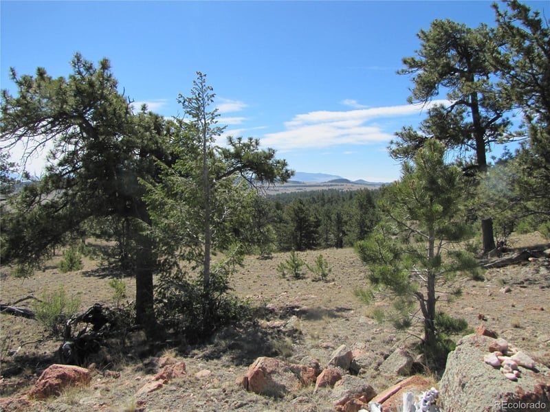Lot 5085 Ouray Rd, Hartsel, CO 80449