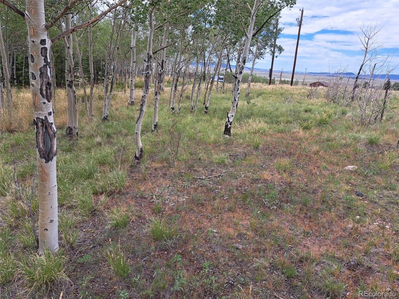 Georgia Cir, Jefferson, CO 80456