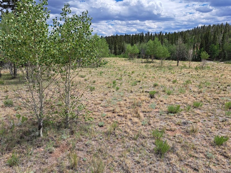 6242 Remington Rd, Como, CO 80432