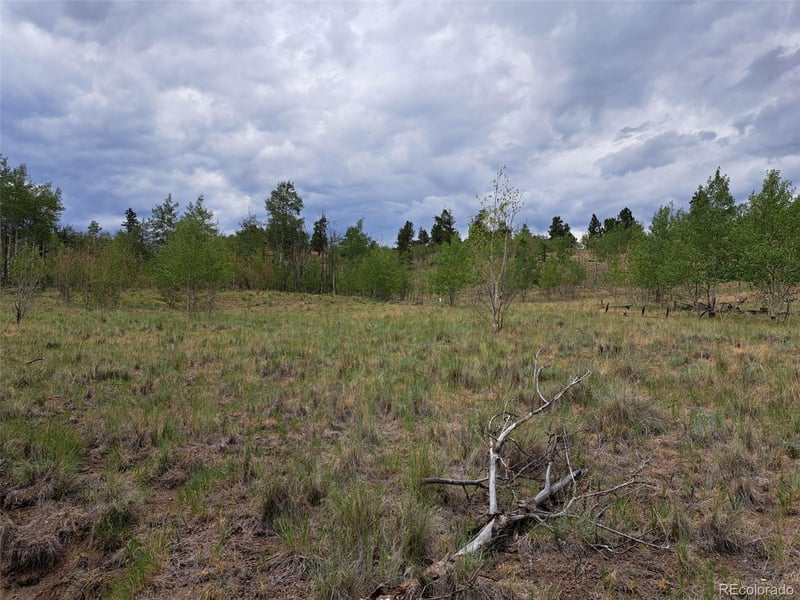 6242 Remington Rd, Como, CO 80432