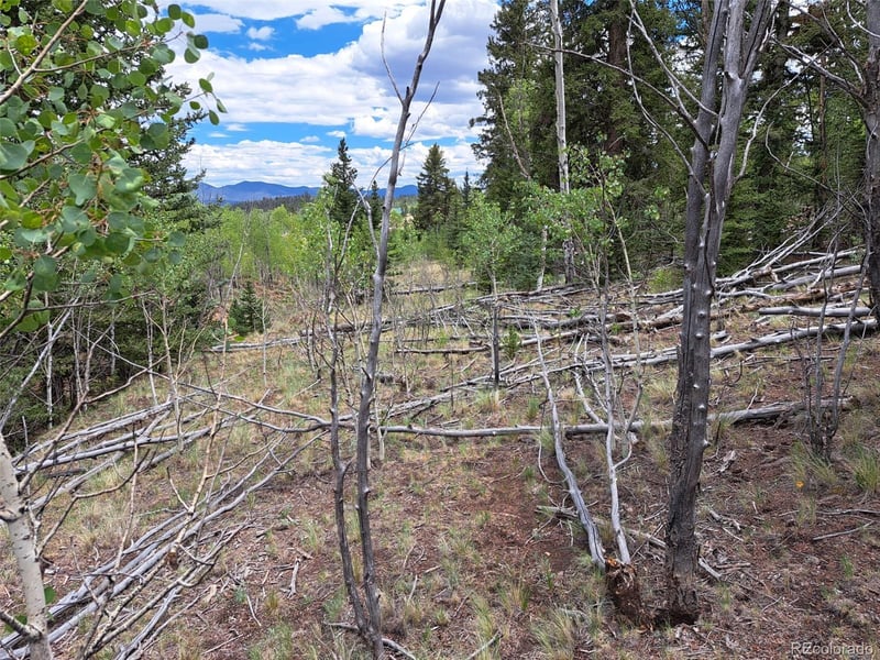 6242 Remington Rd, Como, CO 80432