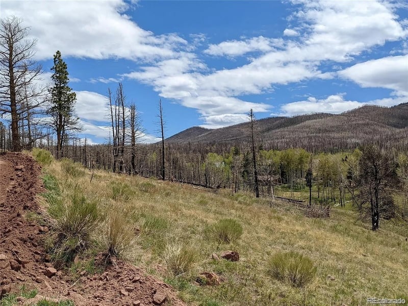951 Van Fossan Ln, Fort Garland, CO 81133