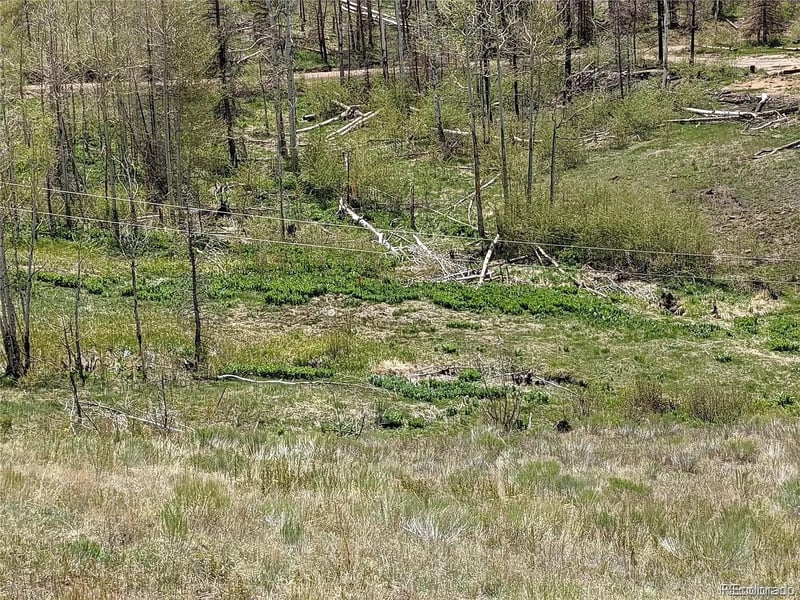 951 Van Fossan Ln, Fort Garland, CO 81133