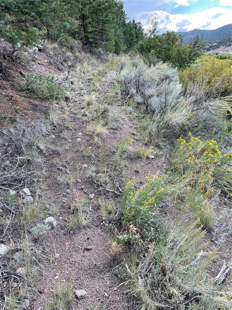 1577 Mears Ln, Salida, CO 81201