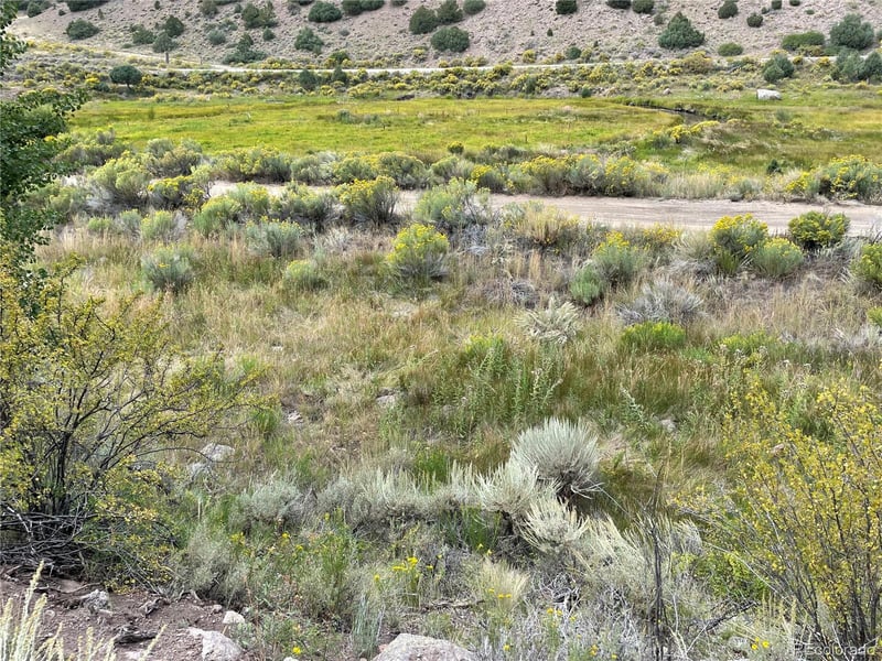 1577 Mears Ln, Salida, CO 81201
