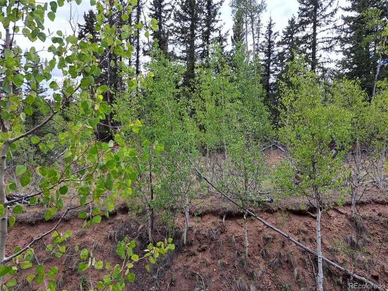 6206 Remington Rd, Como, CO 80432