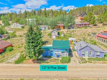 137 N Pine St, Alma, CO 80420