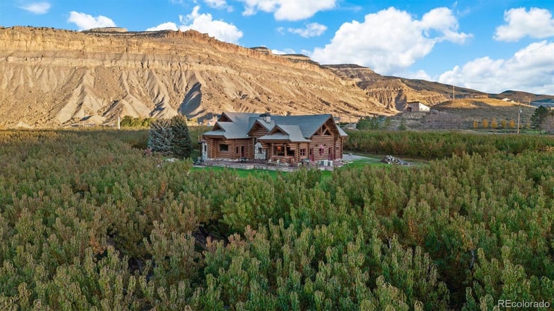 3875 F 3/4 Rd, Palisade, CO 81526