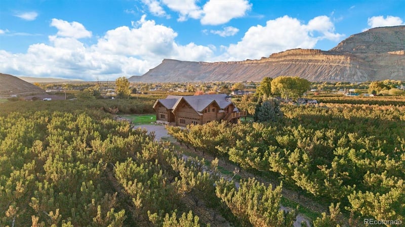 3875 F 3/4 Rd, Palisade, CO 81526