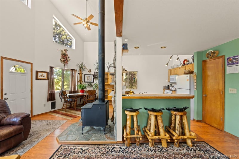 3943 Co Rd 403, Lake George, CO 80827