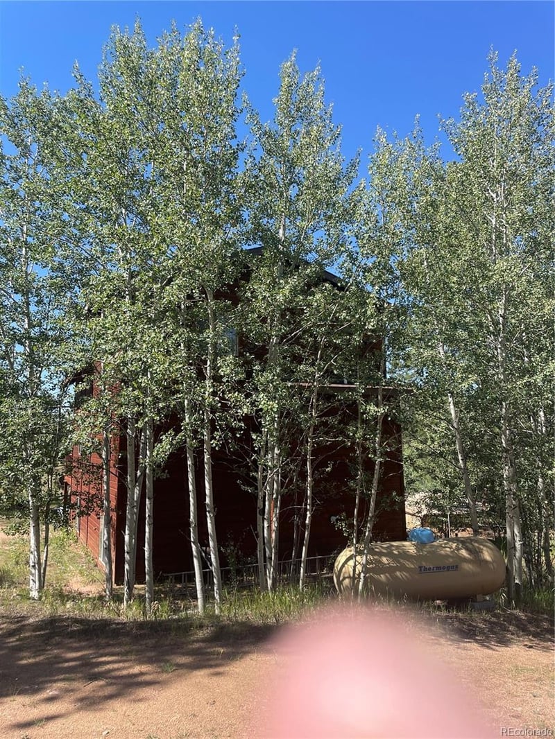 3943 Co Rd 403, Lake George, CO 80827