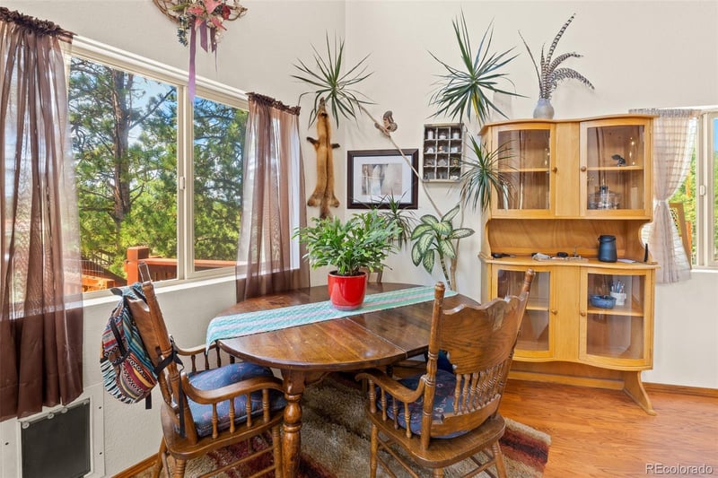 3943 Co Rd 403, Lake George, CO 80827