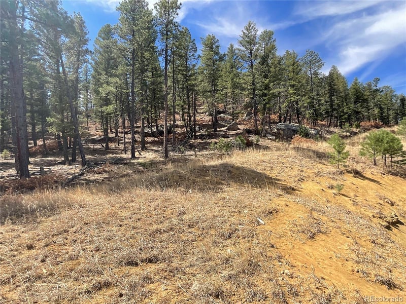 160 Acres San Pablo Cy, Weston, CO 81091