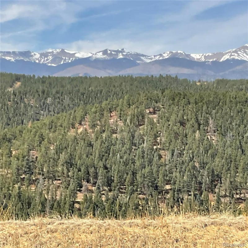 160 Acres San Pablo Cy, Weston, CO 81091