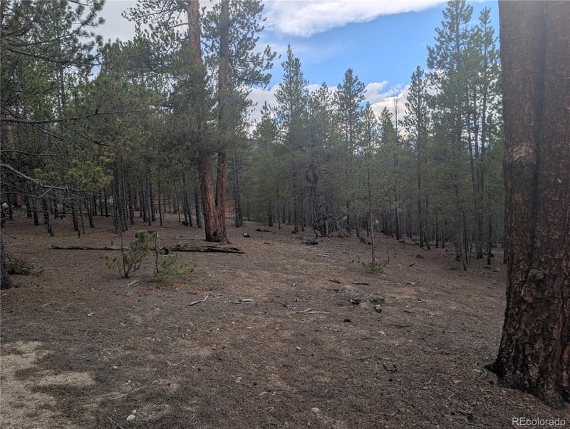663 Spruce Dr, Twin Lakes, CO 80461