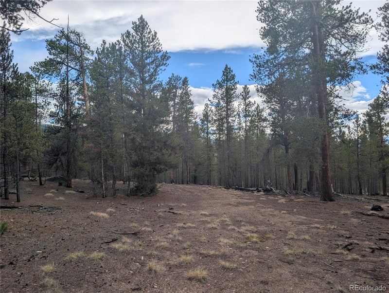663 Spruce Dr, Twin Lakes, CO 80461