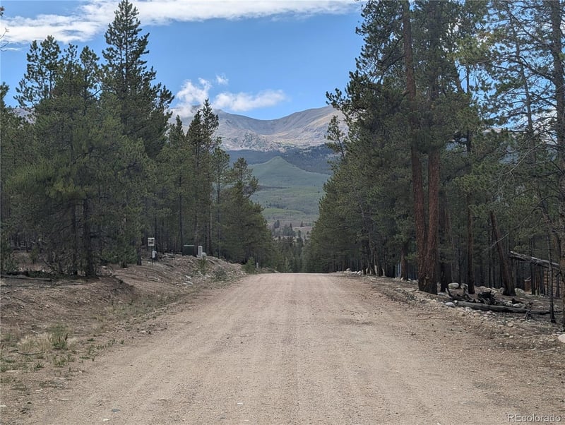 663 Spruce Dr, Twin Lakes, CO 80461