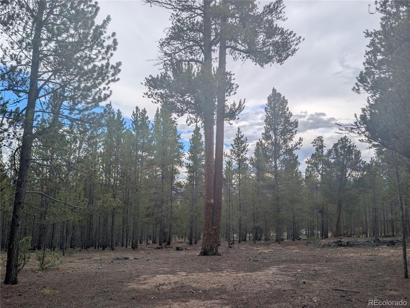 663 Spruce Dr, Twin Lakes, CO 80461