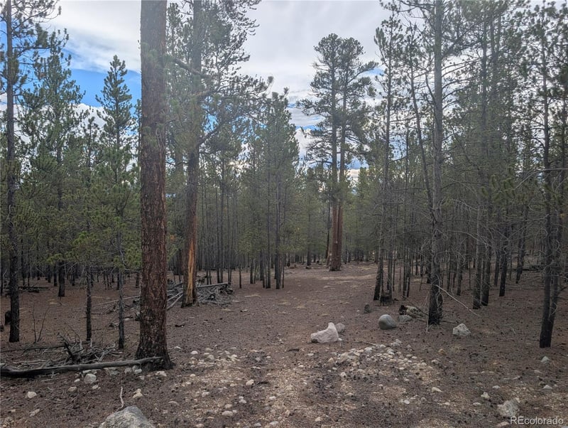 663 Spruce Dr, Twin Lakes, CO 80461