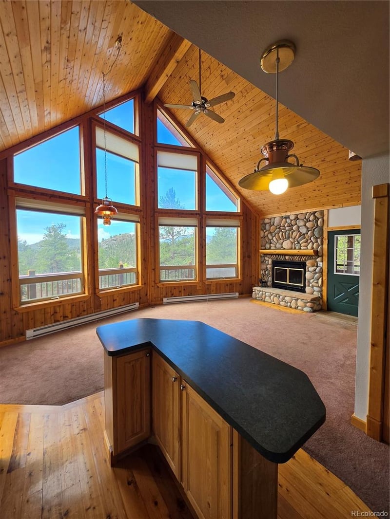 305 Private Dr, Lake George, CO 80827