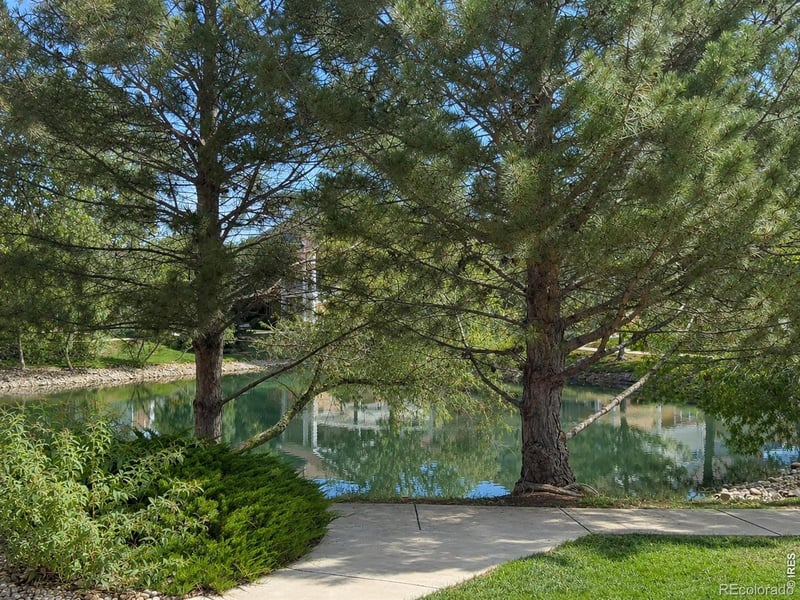 4715 Hahns Peak Dr #103, Loveland, CO 80538