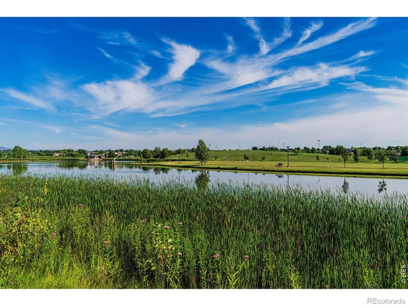 5620 Fossil Creek Pw #5203, Fort Collins, CO 80525