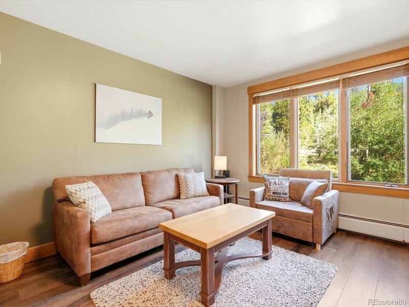 53 Hunkidori Ct #8804, Dillon, CO 80435