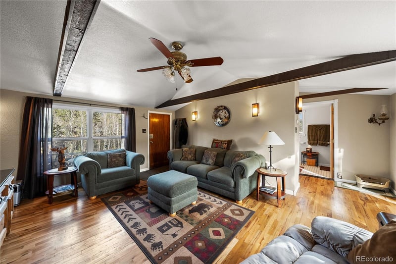 106 Elk Dr, Bailey, CO 80421