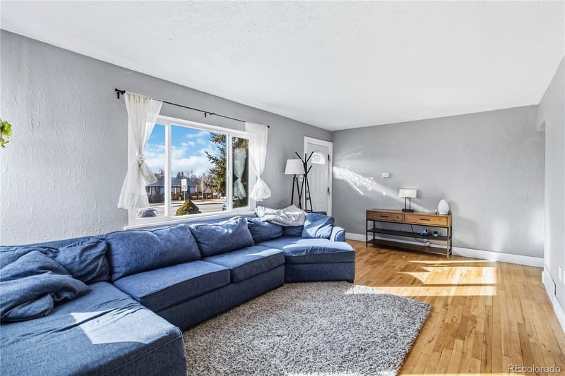 316 Gilbert St, Castle Rock, CO 80104