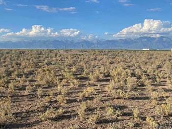 11 Viste Valley Ests Blk, Center, CO 81125